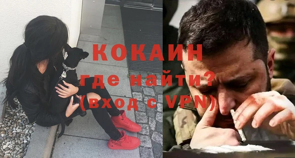 стаф Арсеньев