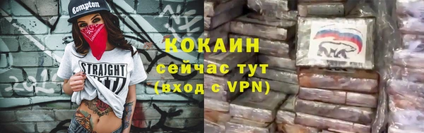 стаф Арсеньев
