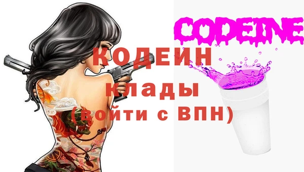 стаф Арсеньев